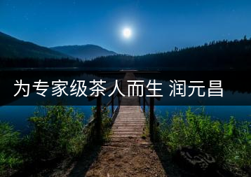 為專家級茶人而生 潤元昌布朗金藏上市