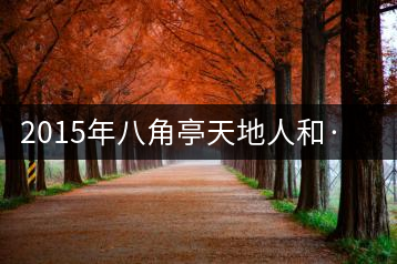 2015年八角亭天地人和·生態方磚(熟)即將上市