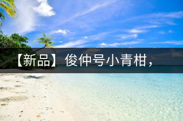 【新品】俊仲號小青柑，青果來傾城