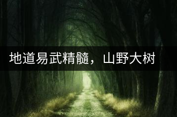 地道易武精髓，山野大樹珍品—普秀易武生態喬木圓茶即將上市