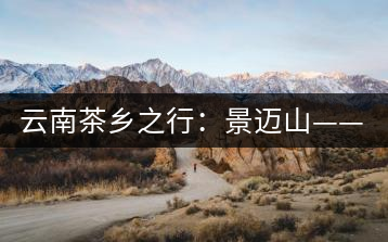 云南茶鄉之行：景邁山——螃蟹腳