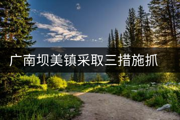 廣南壩美鎮采取三措施抓好冬季茶園管理