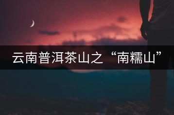 云南普洱茶山之“南糯山”