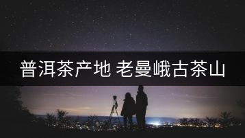 普洱茶產地 老曼峨古茶山