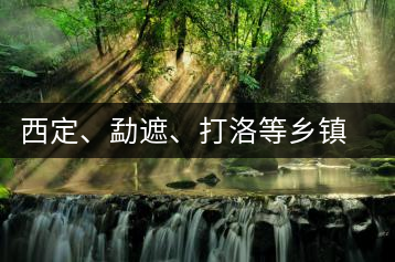 西定、勐遮、打洛等鄉(xiāng)鎮(zhèn)古茶樹資源