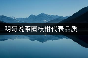 明哥說茶圈枝柑代表品質高點,是玩家級的產品