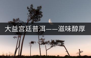 大益宮廷普洱——滋味醇厚,陳香濃郁