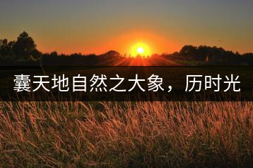 囊天地自然之大象,歷時光十載流轉-皇茶一號