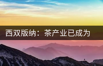西雙版納：茶產業(yè)已成為茶區(qū)經(jīng)濟的重要支柱產業(yè)