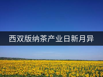 西雙版納茶產業日新月異