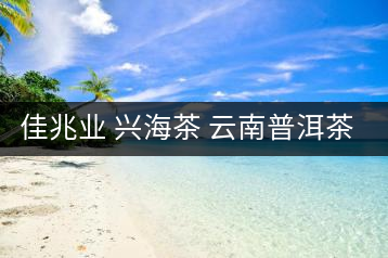佳兆業 興海茶 云南普洱茶熟茶古樹小沱茶勐海茶葉小粒裝60g
