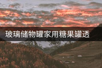 玻璃儲物罐家用糖果罐透明創意花瓣裝茶葉罐子蜜餞普洱茶密封茶罐