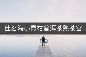 佳茗海小青柑普洱茶熟茶宮廷特級(jí)新會(huì)桔橘陳皮古樹(shù)普洱茶葉600g