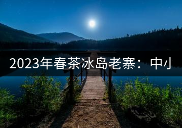 2023年春茶冰島老寨：中小樹混采2500-3000元／公斤，大樹：7000-8000元／公斤，古樹混采：28000-36000元／公斤
