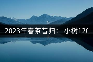 2023年春茶昔歸： 小樹(shù)1200-1600元／公斤，大樹(shù)4500-5200元／公斤，古樹(shù)7500-9000元／公斤.