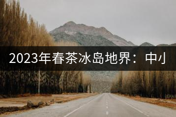 2023年春茶冰島地界：中小樹1300-1500元／公斤，古樹2200~2500元／公斤