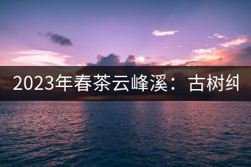 2023年春茶云峰溪：古樹純料：1200-1500元／公斤，古樹混采800-1000元／公斤，大樹500-800元／公斤，小樹300-500元／公斤