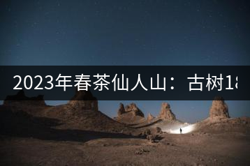 2023年春茶仙人山：古樹1800-2500元／公斤，老曼峨：小樹：600元／公斤 1600-1800元／公斤