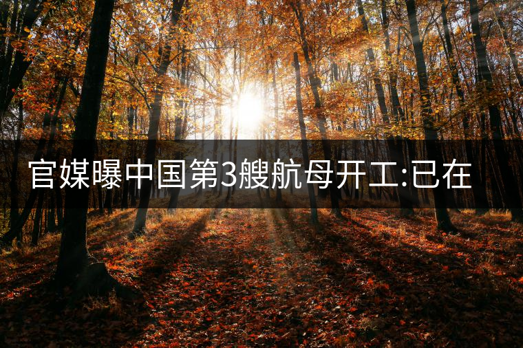 官媒曝中國第3艘航母開工:已在船臺建造