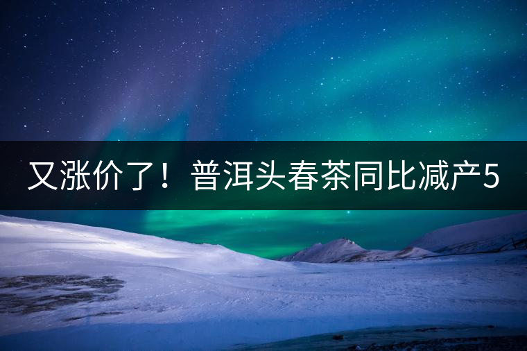 又漲價(jià)了！普洱頭春茶同比減產(chǎn)50%，薄荷塘一類鮮葉需當(dāng)面議價(jià)