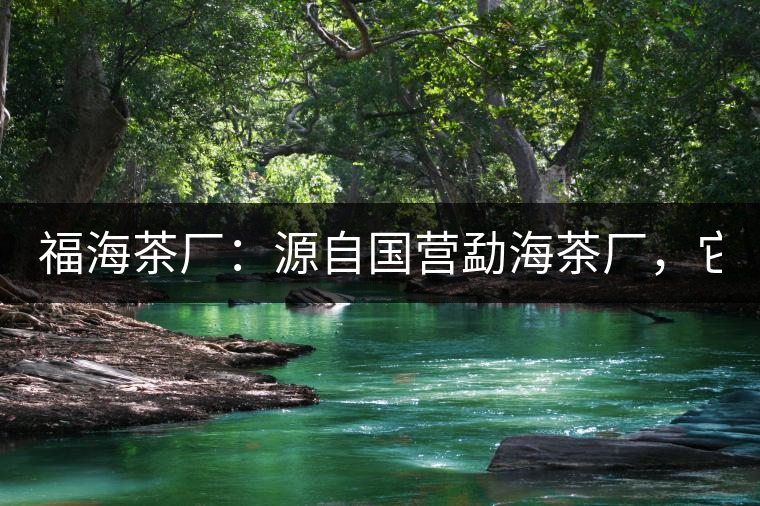 福海茶廠:源自國營勐海茶廠,它是99易武綠星星之母 福海茶廠:源自國營勐海茶廠,它是99易武綠星星之母