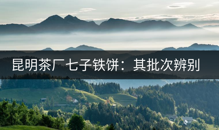 昆明茶廠七子鐵餅:其批次辨別、配方、年份大盤點! 昆明茶廠七子鐵餅:其批次辨別、配方、年份大盤點!