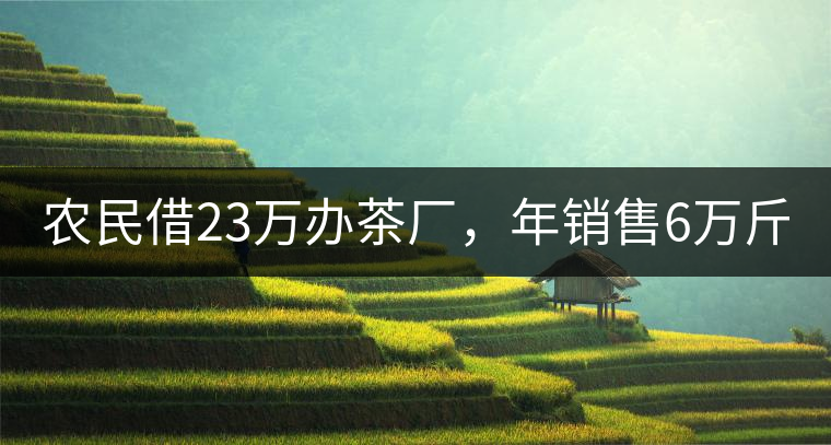 農民借23萬辦茶廠，年銷售6萬斤，每天休息僅20分鐘!農民借23萬辦茶廠，年銷售6萬斤，每天休息僅20分鐘！