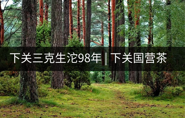 下關三克生沱98年 | 下關國營茶廠出口料，干倉儲存，...下關三克生沱98年 | 下關國營茶廠出口料，干倉儲存，19年老茶！