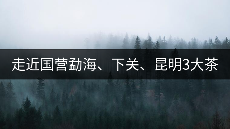 走近國營勐海、下關、昆明3大茶廠，傳世代表作的發展詳...走近國營勐海、下關、昆明3大茶廠，傳世代表作的發展詳解