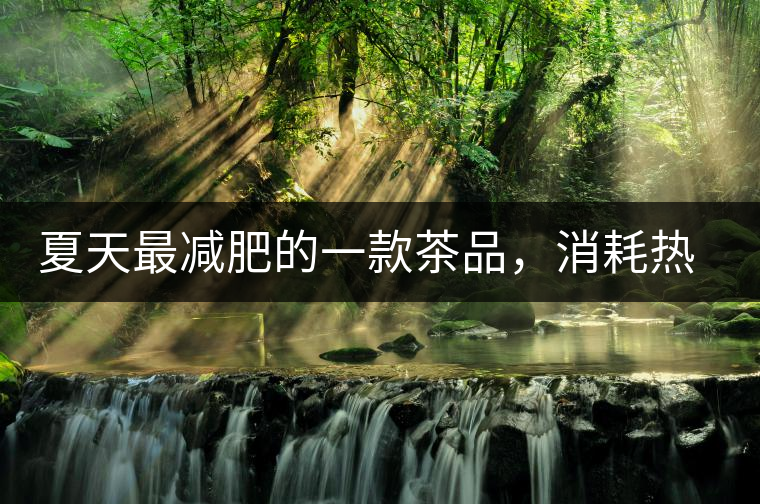 夏天最減肥的一款茶品，消耗熱量，此茶燃燒你的卡路里