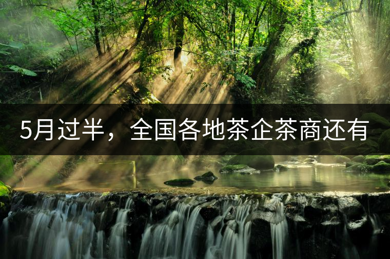 5月過半,全國各地茶企茶商還有7場重要展會值得參加5月過半,全國各地茶企茶商還有7場重要展會值得參加 5月過半,全國各地茶企茶商還有7場重要展會值得參加5月過半,全國各地茶企茶商還有7場重要展會值得參加