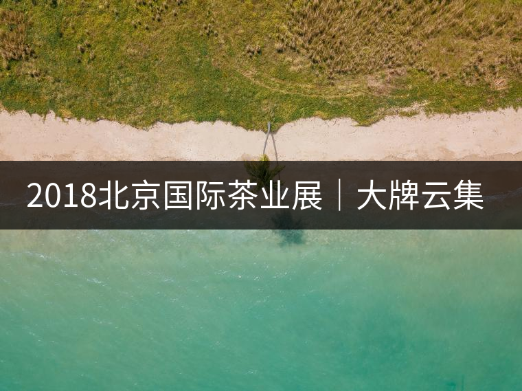 2018北京國際茶業展|大牌云集展會 買買買不能停 2018北京國際茶業展|大牌云集展會 買買買不能停
