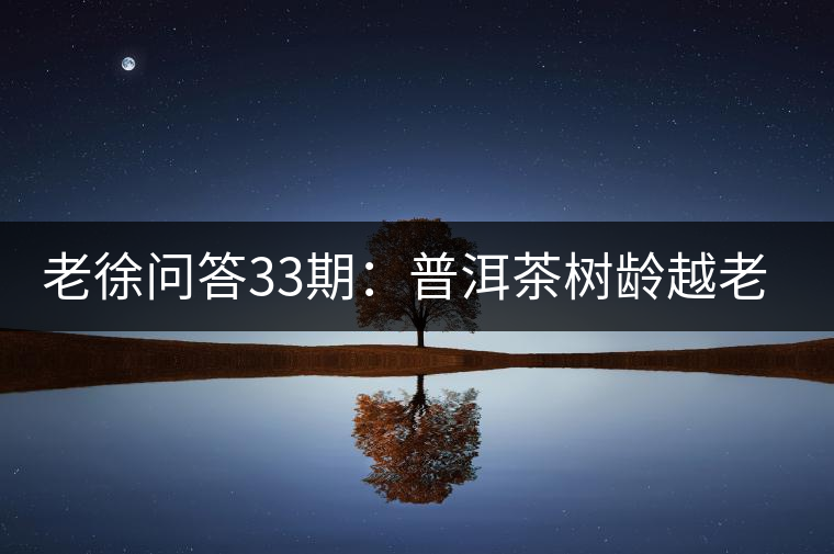 老徐問答33期：普洱茶樹齡越老越貴，那100年樹齡的老班章呢？