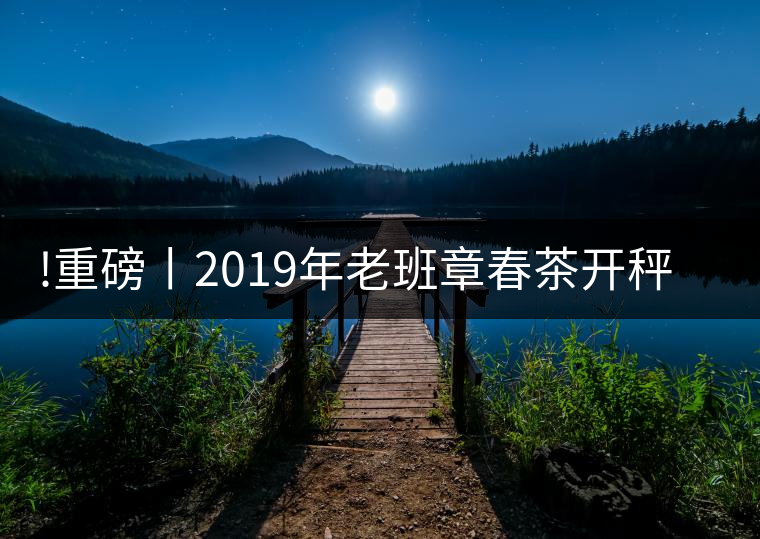 !重磅丨2019年老班章春茶開秤,一筆定價?如此出人意料! !重磅丨2019年老班章春茶開秤,一筆定價?如此出人意料!