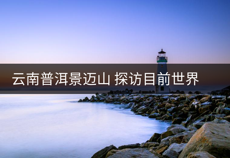 云南普洱景邁山 探訪目前世界上面積最大、年代最久遠的古茶園 云南普洱景邁山 探訪目前世界上面積最大、年代最久遠的古茶園
