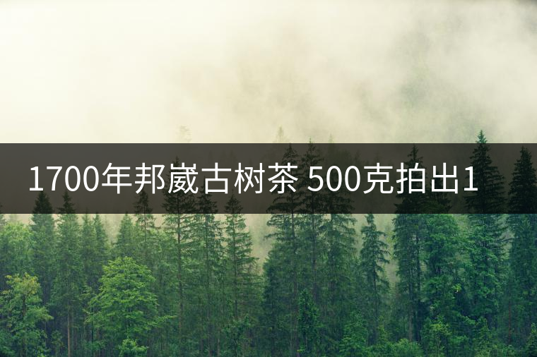 1700年邦崴古樹茶 500克拍出18萬元天價 1700年邦崴古樹茶 500克拍出18萬元天價