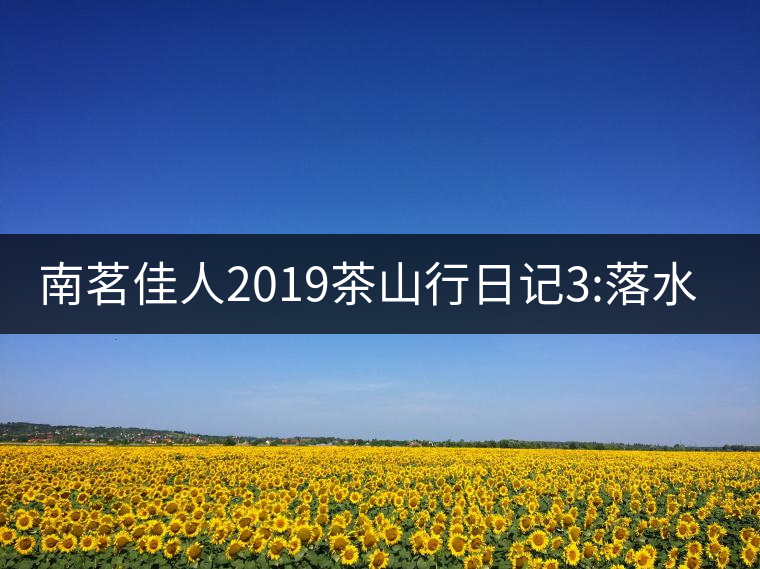 南茗佳人2019茶山行日記3:落水洞--200多年建村歷史，...南茗佳人2019茶山行日記3：落水洞——200多年建村歷史，靈動清越