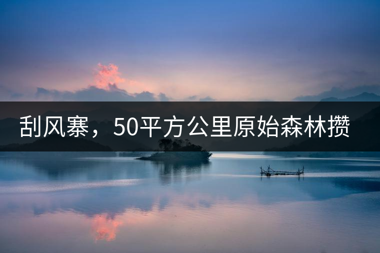 刮風寨，50平方公里原始森林攢集的氣韻！