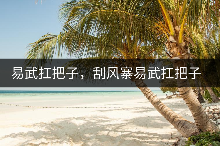 易武扛把子，刮風寨易武扛把子，刮風寨