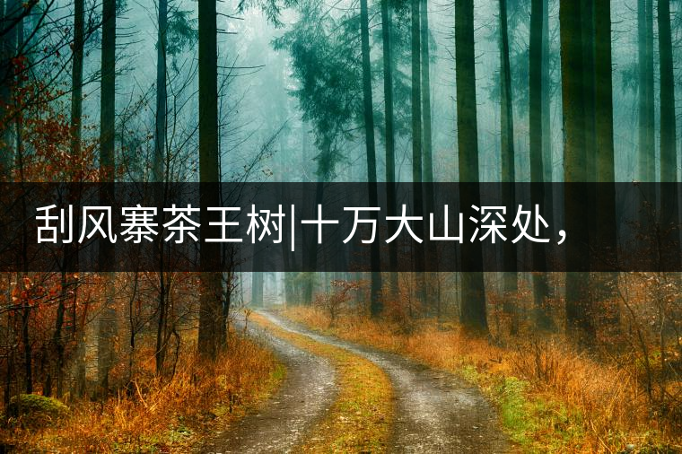 刮風(fēng)寨茶王樹(shù)|十萬(wàn)大山深處,鮮為人知的王者刮風(fēng)寨茶王樹(shù)|十萬(wàn)大山深處,鮮為人知的王者 刮風(fēng)寨茶王樹(shù)|十萬(wàn)大山深處,鮮為人知的王者刮風(fēng)寨茶王樹(shù)|十萬(wàn)大山深處,鮮為人知的王者