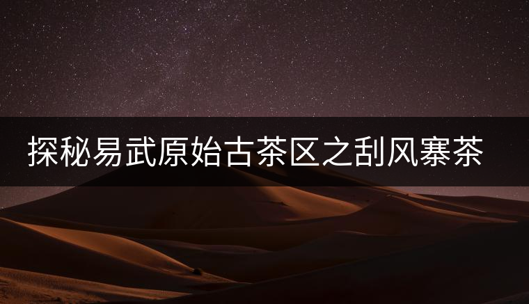 探秘易武原始古茶區之刮風寨茶王樹探秘易武原始古茶區之刮風寨茶王樹