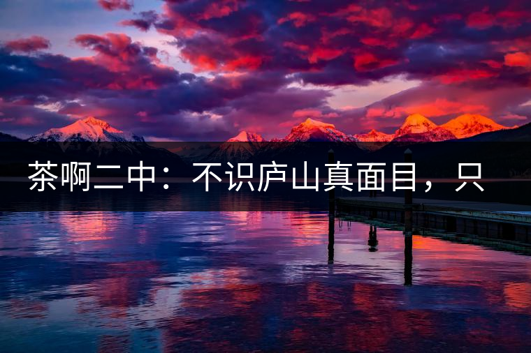 茶啊二中：不識(shí)廬山真面目，只識(shí)彎弓射大雕，賈淳真搞笑