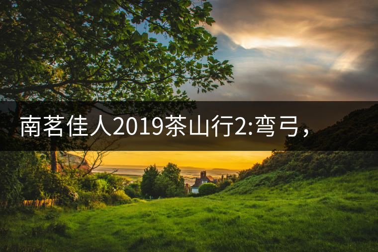 南茗佳人2019茶山行2:彎弓，一路艱辛，只為這有生命...南茗佳人2019茶山行2：彎弓，一路艱辛，只為這有生命厚度的茶！