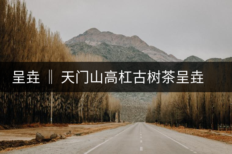 呈垚 ‖ 天門山高杠古樹(shù)茶呈垚 ‖ 天門山高杠古樹(shù)茶