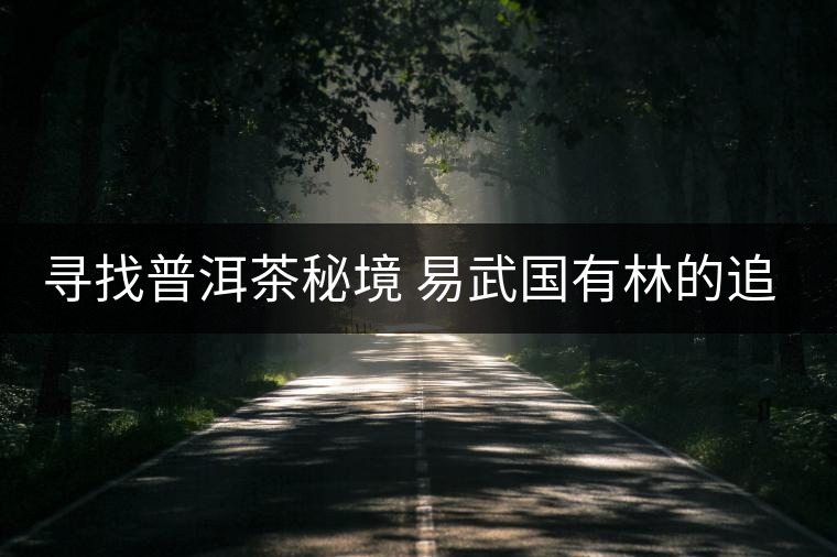 尋找普洱茶秘境 易武國有林的追逐戰尋找普洱茶秘境 易武國有林的追逐戰
