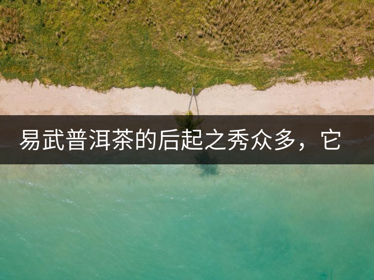 易武普洱茶的后起之秀眾多,它是還沒漲價的一個! 易武普洱茶的后起之秀眾多,它是還沒漲價的一個!