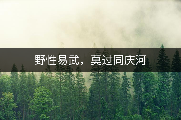 野性易武，莫過同慶河