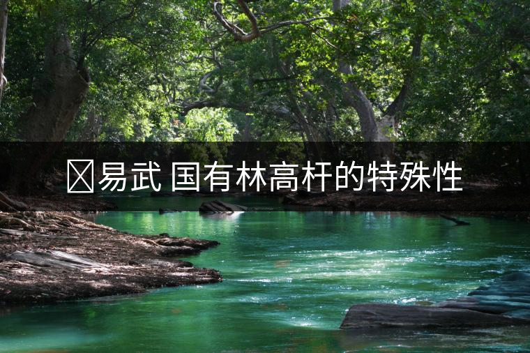?易武 國(guó)有林高桿的特殊性 ?易武 國(guó)有林高桿的特殊性
