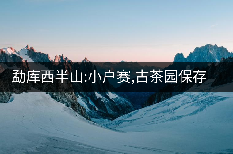 勐庫西半山:小戶賽,古茶園保存最好的寨子 勐庫西半山:小戶賽,古茶園保存最好的寨子