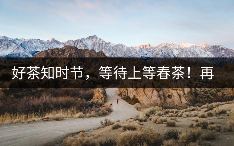好茶知時(shí)節(jié)，等待上等春茶！再來(lái)回味這些年喝過(guò)的小戶賽古樹春茶